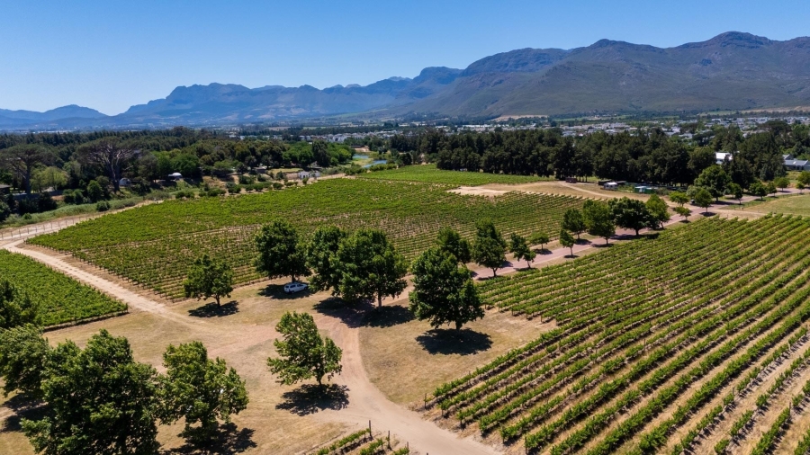 0 Bedroom Property for Sale in Val De Vie Estate Western Cape